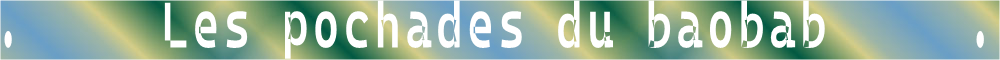 .     Les pochades du baobab     .