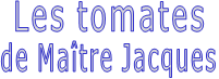 Les tomates de Maître Jacques